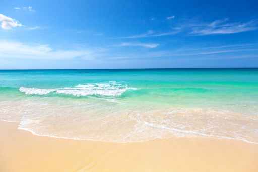 Pendapatan Bluebird Group Tumbuh 12,4% hingga Kuartal III 2025